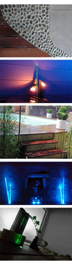 David Robert portrait